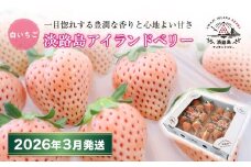 淡路島アイランドベリー 白苺淡雪【2026年3月発送予約受付・お届け日指定不可】