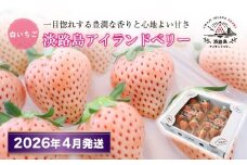 淡路島アイランドベリー 白苺淡雪【2026年4月発送予約受付・お届け日指定不可】