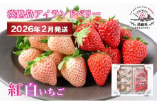 淡路島アイランドベリー　紅白いちご　淡雪/とちおとめ【2026年2月発送予約受付・お届け日指定不可】