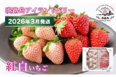 淡路島アイランドベリー　紅白いちご　淡雪/とちおとめ【2026年3月発送予約受付・お届け日指定不可】