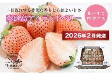 淡路島アイランドベリー　白苺淡雪　Mサイズ【2026年2月発送予約受付・お届け日指定不可】
