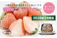 淡路島アイランドベリー　白苺淡雪　Mサイズ【2026年3月発送予約受付・お届け日指定不可】