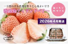 淡路島アイランドベリー　白苺淡雪　Mサイズ【2026年4月発送予約受付・お届け日指定不可】