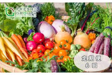【定期便】彩り野菜と香るハーブセット　６回お届けセット