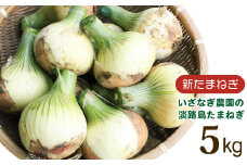 【新たまねぎ】いざなぎ農園の淡路島たまねぎ 5kg【発送時期2026年5月頃】