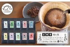 【定期便10ヶ月】スペシャルティーコーヒー定期便（豆２００g×２種×１０回）合計４kg