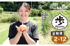 【定期便12ヶ月】淡路島たまねぎ 歩-AYUMU- 2kg
