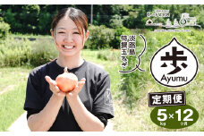 【定期便12ヶ月】淡路島たまねぎ 歩-AYUMU- 5kg