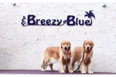 貸別荘BreezyBlue淡路島 ご利用券【10月～3月宿泊限定】（10,000円分） ペット可 オーシャンビュー 宿泊券 クーポン