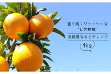 淡路島なるとオレンジ　4kg 【発送時期2025年3月～4月頃】