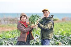 【淡路島のあま～い新玉ねぎ】淡路島ファーム太陽と海 から期間限定でお届け 10kg