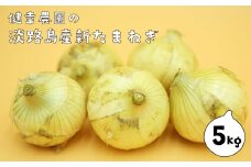 淡路島産新玉ねぎ 5kg