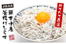 淡路島産【ゆでたて直送】釜揚げしらす 640g（80g×8パック）【到着日指定不可】
