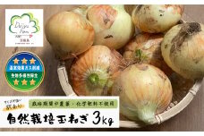 自然栽培玉ねぎ 3kg 《大小様々なサイズのため訳あり》