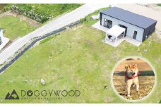 淡路島で愛犬と泊まれる宿<DOGGYWOOD>で使える宿泊ご優待券60,000円分