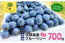 【淡路島産】大粒ブルーベリー 700g 冷凍生果《栽培期間中、無農薬栽培》