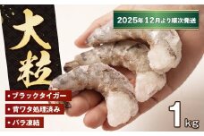 至福の大粒むきえび　背ワタ処理済 1kg【2025年12月より順次発送】　　[ムキエビ 大型 背わたなし むき海老 ブラックタイガー 下処理済み 冷凍 背ワタなし 高級]