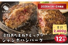 淡路島たまねぎどっさりジャンボハンバーグ 200g×12個【2026年1月～2月発送】