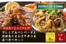 プレミアムハンバーグとたまねぎ牛丼 食べ比べセット【2025年11月～12月発送】