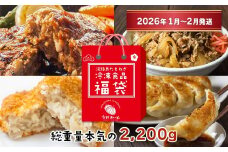 今井ファームの冷凍食品お楽しみ福袋【2026年1月～2月発送】≪ハンバーグ・牛丼・餃子・コロッケ≫