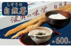 K7【令和7年産　先行受付】しそう の 自然薯（ 期間限定 数量限定 自然薯 山芋 芋 野菜 滋養強壮 じねんじょ ）