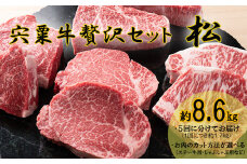 F12　宍粟牛贅沢セット【松：8.6kg】　宍粟牛 は 但馬牛 の 血統を受け継いだ 黒毛和牛 　ステーキ もも 焼肉 すき焼き スライス しゃぶしゃぶ 生肉 精肉 ブランド牛 国産牛 贈り物 セット 大容量 定期便