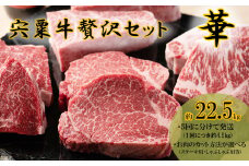 F14　宍粟牛贅沢セット【華：22.5kg】　宍粟牛 は 但馬牛 の 血統を受け継いだ 黒毛和牛 　ステーキ もも 焼肉 すき焼き スライス しゃぶしゃぶ 生肉 精肉 ブランド牛 国産牛 贈り物 セット 大容量 定期便