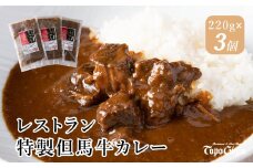 J7　レストラン の 特製 但馬牛 カレー 【 黒毛和牛 牛肉 ビーフカレー スパイス 冷凍 】