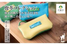 AN3　鹿革コレクション【蒲公英×翠】ポーチジッパーモデル 【 鹿革 革製品 ポーチ 小物入れ 小銭入れ カードサイズ オーガニック 手作り たんぽぽ タンポポ 黄色 イエロー 翠 みどり 緑 グリーン 】