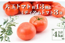 AP2　田中農園自慢のトマト4kg 【 トマト とまと 農園 野菜 産地直送 新鮮 】