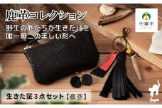 AN16 鹿革コレクション「生きた証」夜空 3点セット  【 ポーチ タッセル チャーム 鹿革 革製品 小物入れ 小銭入れ カードサイズ オーガニック 蝶 チョウ 手作り 黒 ブラック 】