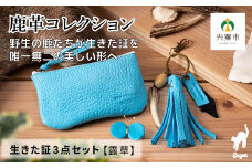 AN13 　鹿革コレクション「生きた証」露草 3点セット  【 ポーチ タッセル チャーム 鹿革 革製品 小物入れ 小銭入れ カードサイズ オーガニック 蝶 チョウ 手作り つゆくさ 青 ブルー 水色 】