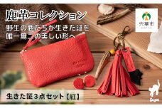 AN14　 鹿革コレクション「生きた証」紅 3点セット 【 ポーチ タッセル チャーム 鹿革 革製品 小物入れ 小銭入れ カードサイズ オーガニック 蝶 チョウ 手作り 紅 赤 朱 レッド 】