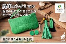 AN12  鹿革コレクション「生きた証」翠3点セット  【 ポーチ タッセル チャーム 鹿革 革製品 小物入れ 小銭入れ カードサイズ オーガニック 蝶 チョウ 手作り 翠 みどり 緑 グリーン 】