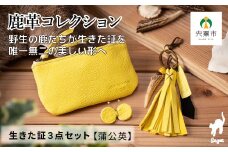 AN15　 鹿革コレクション「生きた証」蒲公英 3点セット 【 ポーチ タッセル チャーム 鹿革 革製品 小物入れ 小銭入れ カードサイズ オーガニック 蝶 チョウ 手作り タンポポ たんぽぽ 黄色 イエロー 】