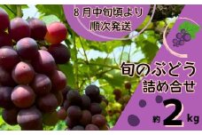 Y2　ぶどう の 詰合せ　約 2㎏   【 ブドウ 葡萄 詰め合わせ セット 贈答 藤稔 紫玉 ピオーネ シャインマスカット ギフト 自宅用 】