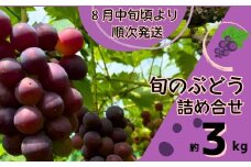 Y3　ぶどう の 詰合せ　約 3㎏　【 ブドウ 葡萄 詰め合わせ セット 贈答 藤稔 紫玉 ピオーネ シャインマスカット ギフト 自宅用 】