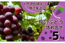 Y4　ぶどう の 詰合せ　約 5㎏　【 ブドウ 葡萄 詰め合わせ セット 贈答 藤稔 紫玉 ピオーネ シャインマスカット ギフト 自宅用 】