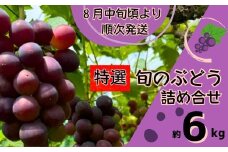 Y5　特選　ぶどう の 詰合せ　約 6㎏　【 ブドウ 葡萄 詰め合わせ セット 贈答 藤稔 紫玉 ピオーネ シャインマスカット ギフト 自宅用 】