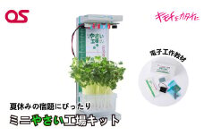 AG21　ミニ やさい 工場 キット　DR-1V1　Web学習教材　【 野菜 栽培 学習 教材 夏休み 宿題 課題 実験 研究 自由研究 子ども 家庭菜園 電子 工作 】