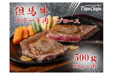J51　トッポ・ジージヨ　但馬牛 リブロース ステーキ 100g × 5枚 【 但馬牛 黒毛和牛 和牛 ブランド牛 国産牛 国産 ロース リブロース 贈り物 ギフト 500g  】 