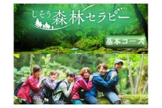 BE1　しそう 森林セラピー　基本コース　【 セラピー 体験 アクティビティ 森林浴 新緑 紅葉 健康増進 癒し 散歩 ウォーキング ハイキング 登山 おでかけ 兵庫県 宍粟市 】