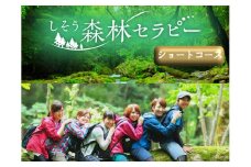 BE2　しそう 森林セラピー　ショートコース　【 セラピー 体験 アクティビティ 森林浴 新緑 紅葉 健康増進 癒し 散歩 ウォーキング ハイキング 登山 おでかけ 兵庫県 宍粟市 】