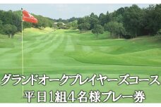 グランドオーク プレイヤーズコース 平日 1組4名様 プレー券 [ ゴルフ 加東市 兵庫県 関西 ゴルフ場 ]