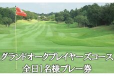 グランドオーク プレイヤーズコース 全日 1名様 プレー券 [ ゴルフ 加東市 兵庫県 関西 ゴルフ場 ]