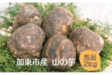 山の芋 加東市産（旧東条産）秀品 2kg 山芋 [野菜 やまいも 詰め合わせ 国産]