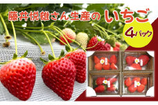 藤井悦雄さん生産の いちご 4パック [フルーツ 果物]