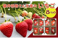 藤井悦雄さん生産の いちご 8パック [フルーツ 果物]
