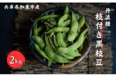 令和7年産 加東市産 丹波種 枝付き 黒枝豆 2kg [ 野菜 えだまめ 枝豆 ビール おつまみ 数量限定 ]