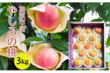 桃 加東市産『やしろの桃』3kg [フルーツ 果物 もも]
